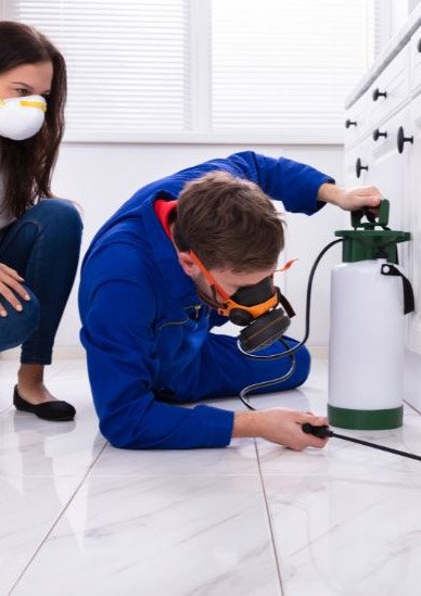 residential-pest-control